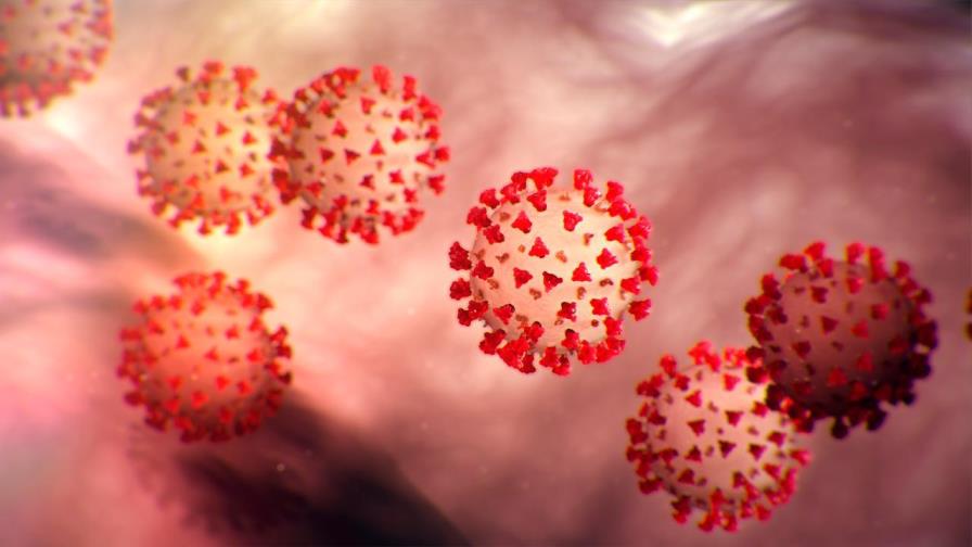 Las miles de mutaciones del SARS-CoV-2 no aumentan su capacidad de contagio