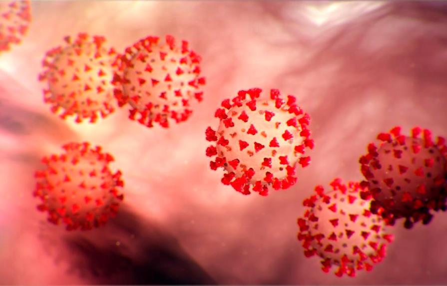 Infectólogos llaman a asumir recomendaciones de organismos por coronavirus