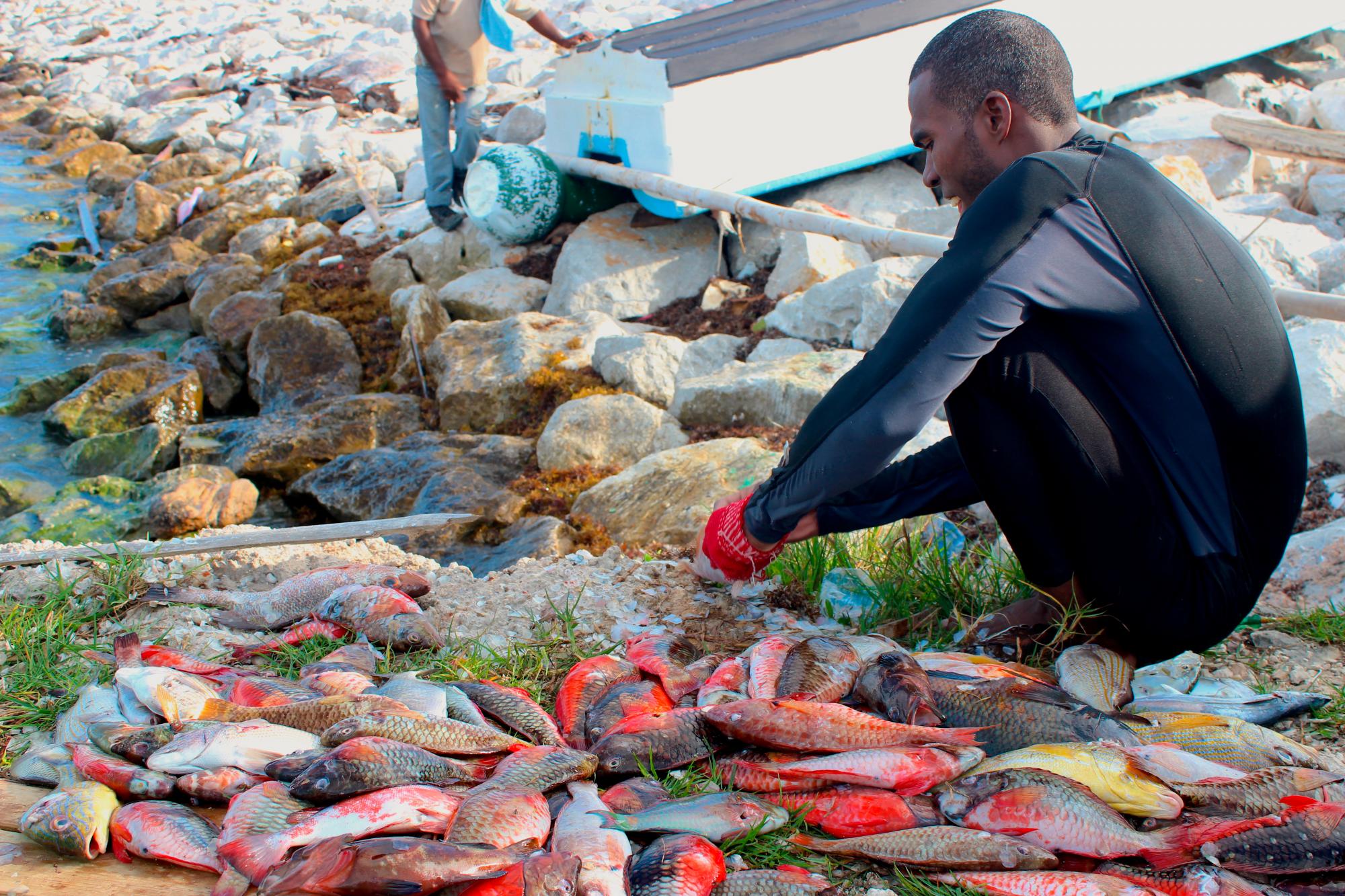 Las pescaderías y pescadores alegan que la medida les ha causado daño severo económico sin ofrecer ninguna alternativa de vida.