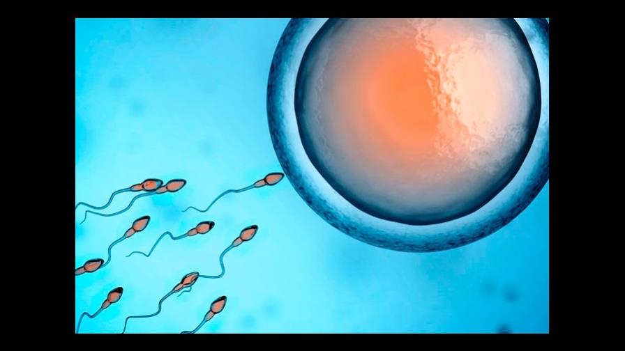 Los óvulos frescos o congelados de una misma mujer son igual de fértiles