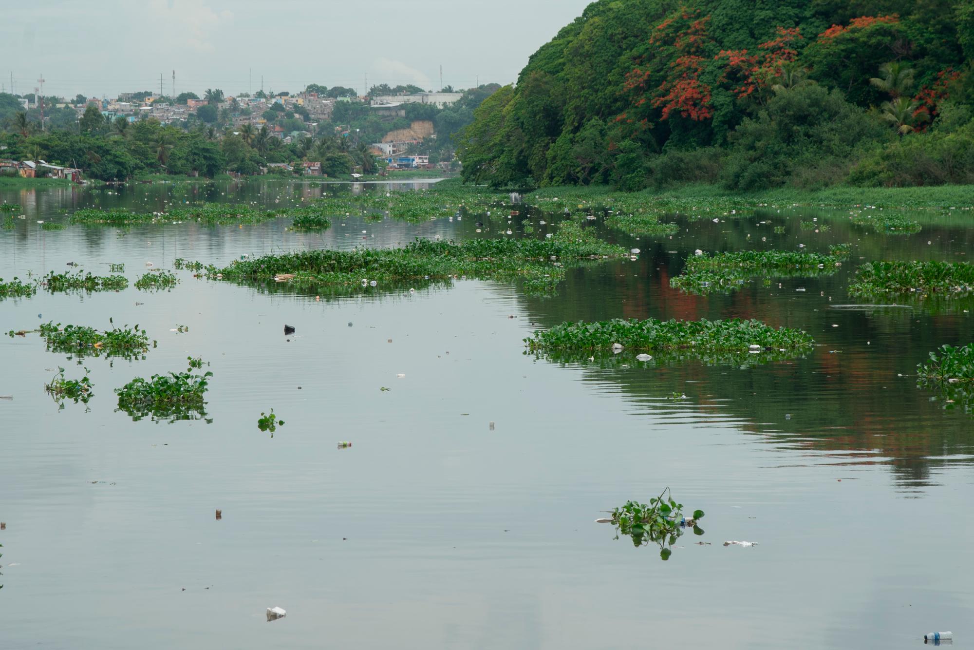 Las lilas siguen bajando por el Ozama e Isabela.