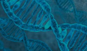 El genoma antiguo de 4 niños confirma el complejo origen de la humanidad