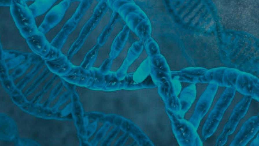 El genoma antiguo de 4 niños confirma el complejo origen de la humanidad El genoma antiguo de 4 niños confirma el complejo origen de la humanidad