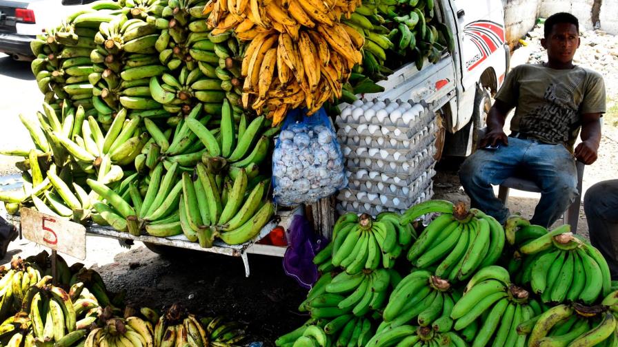 Agropecuaria y especulación 