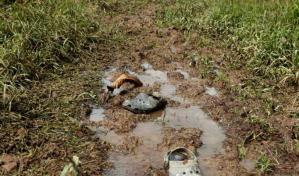 Se dicen “ungidos por Dios” y matan a 7 en Panamá