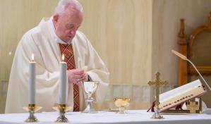 El papa:  Hemos depredado la Tierra, poniendo en riesgo hasta nuestra vida