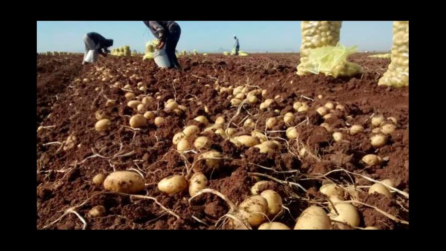 Comienza el plan “Argentina contra el hambre” para paliar emergencia social