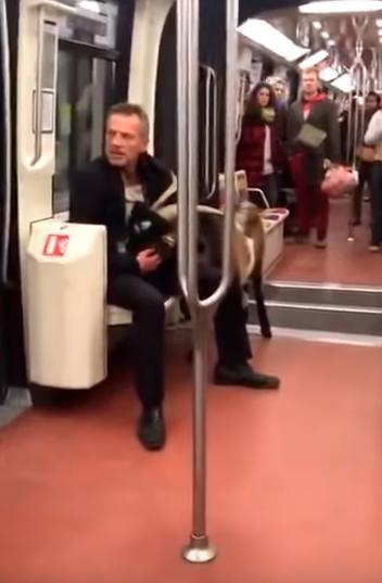Hombre robó una cabra e intentó huir con ella por el metro de París
