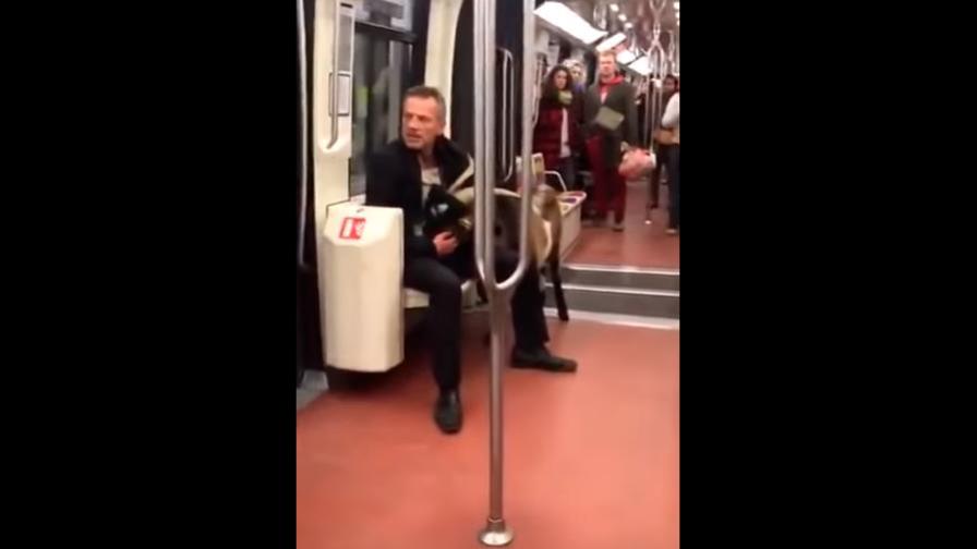 Hombre robó una cabra e intentó huir con ella por el metro de París