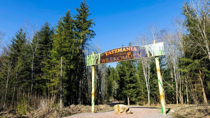 Veintena de monos se fugan de zoológico en sur de Alemania