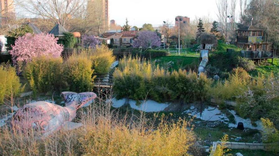 Un bosque reemplazará al fútbol en el estadio más moderno de Austria