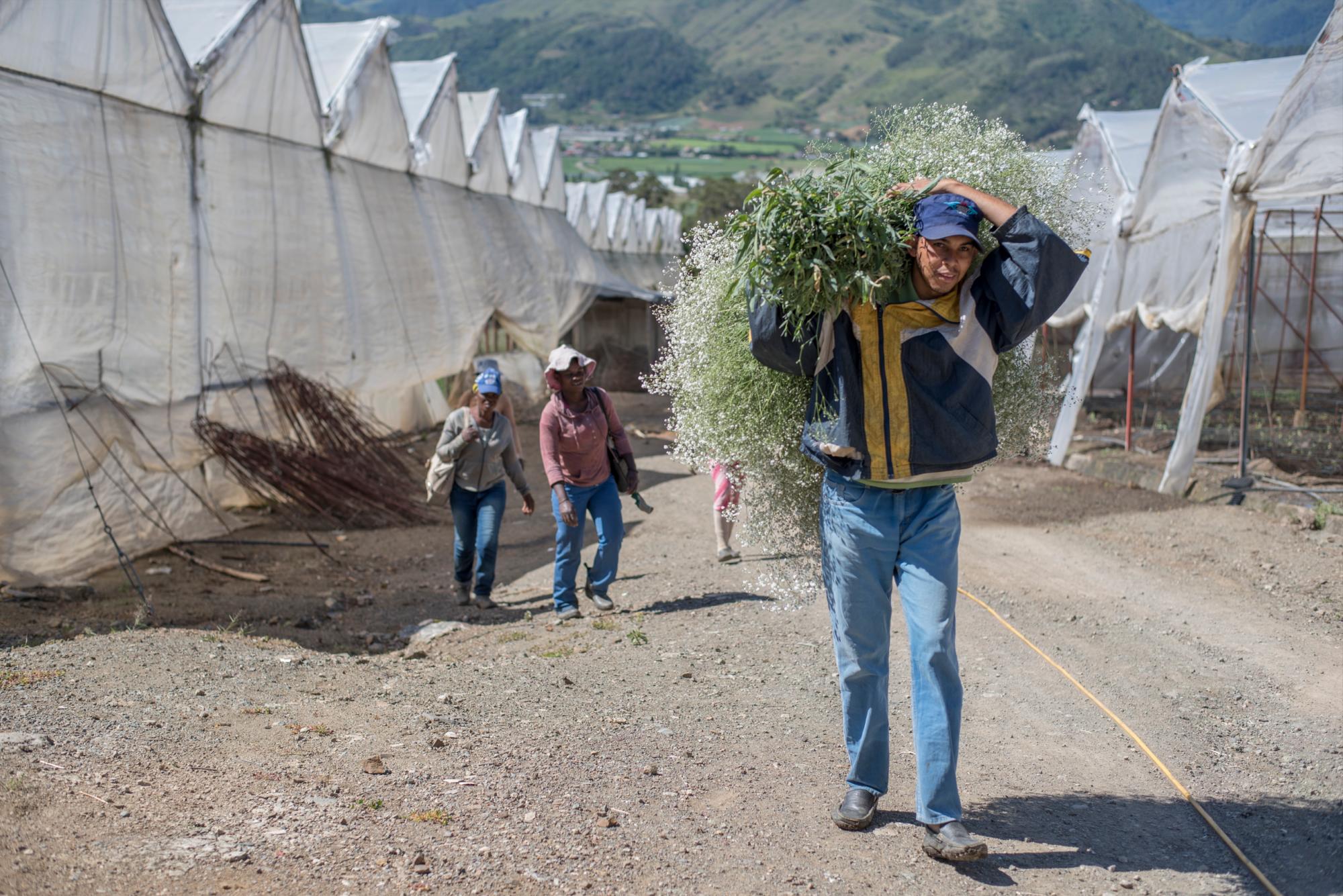 Uno de los trabajadores de Jardín Constanza.