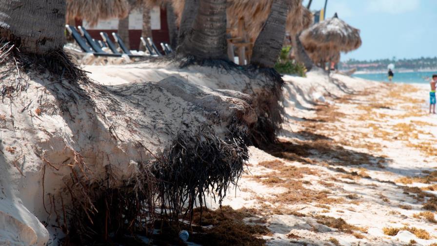 Turismo espera por estudio técnico para comenzar la regeneración de 11 playas