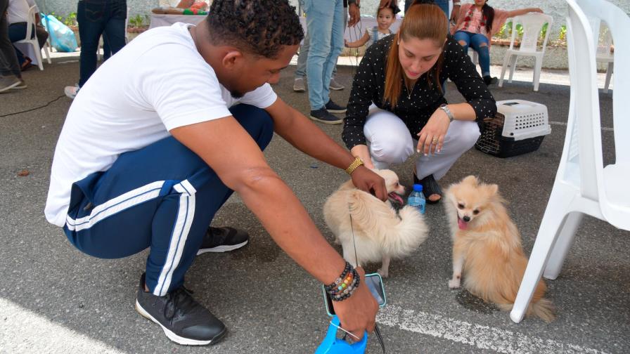 Realizan jornada de donación para ayudar a fundaciones que trabajan con animales 