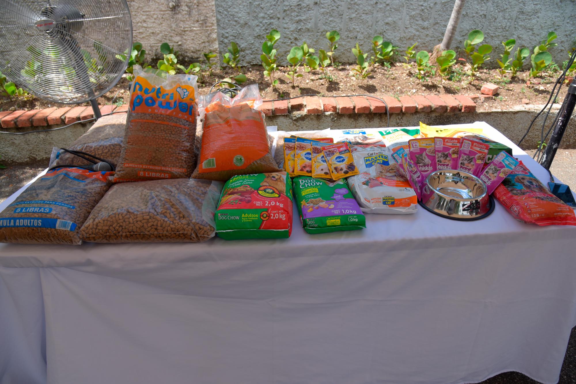 Alimentos donados para las fundaciones 