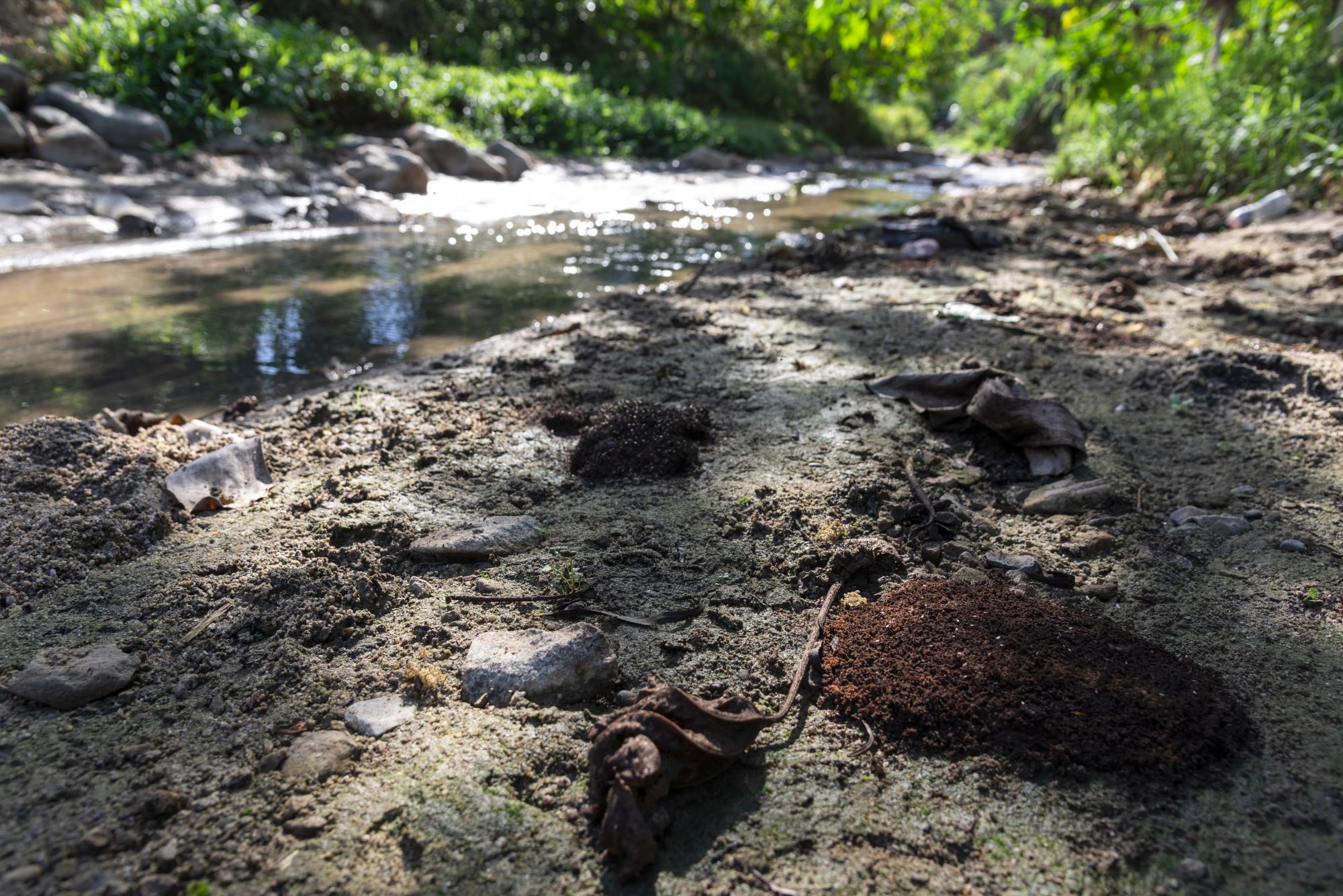 Imagen muestra heces fecales en la orilla del río Tireo.