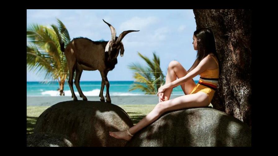 Filme dominicano “Carajita”, una relación cruzada de clases sociales llevada al límite