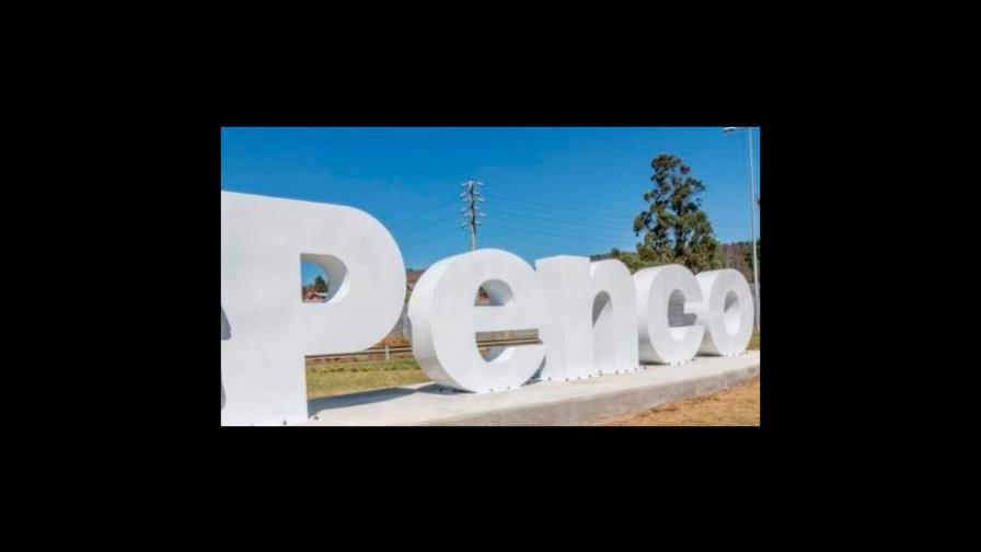 Las palabras y frases que pusieron de moda las primarias y la división del PLD