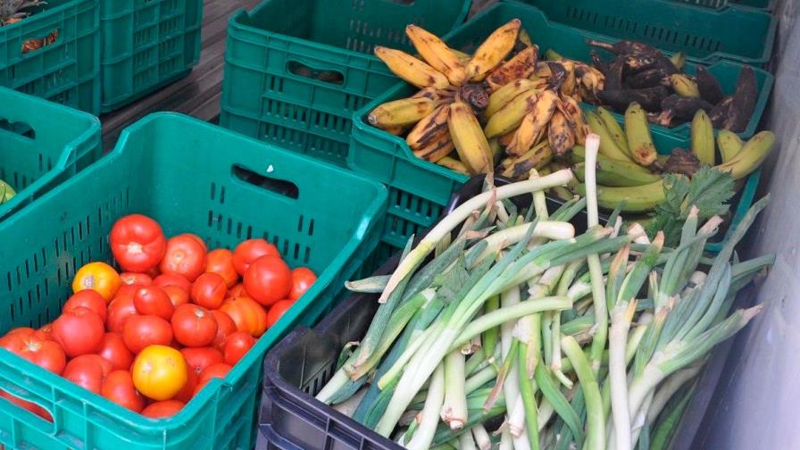 FAO advierte pérdida de alimentos impacta en la seguridad alimentaria