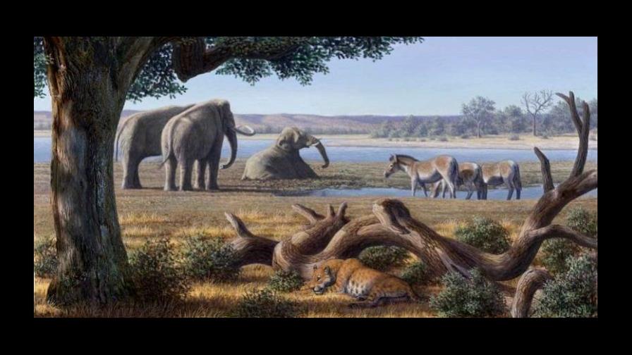 África sufrió una desconocida extinción masiva hace 30 millones de años