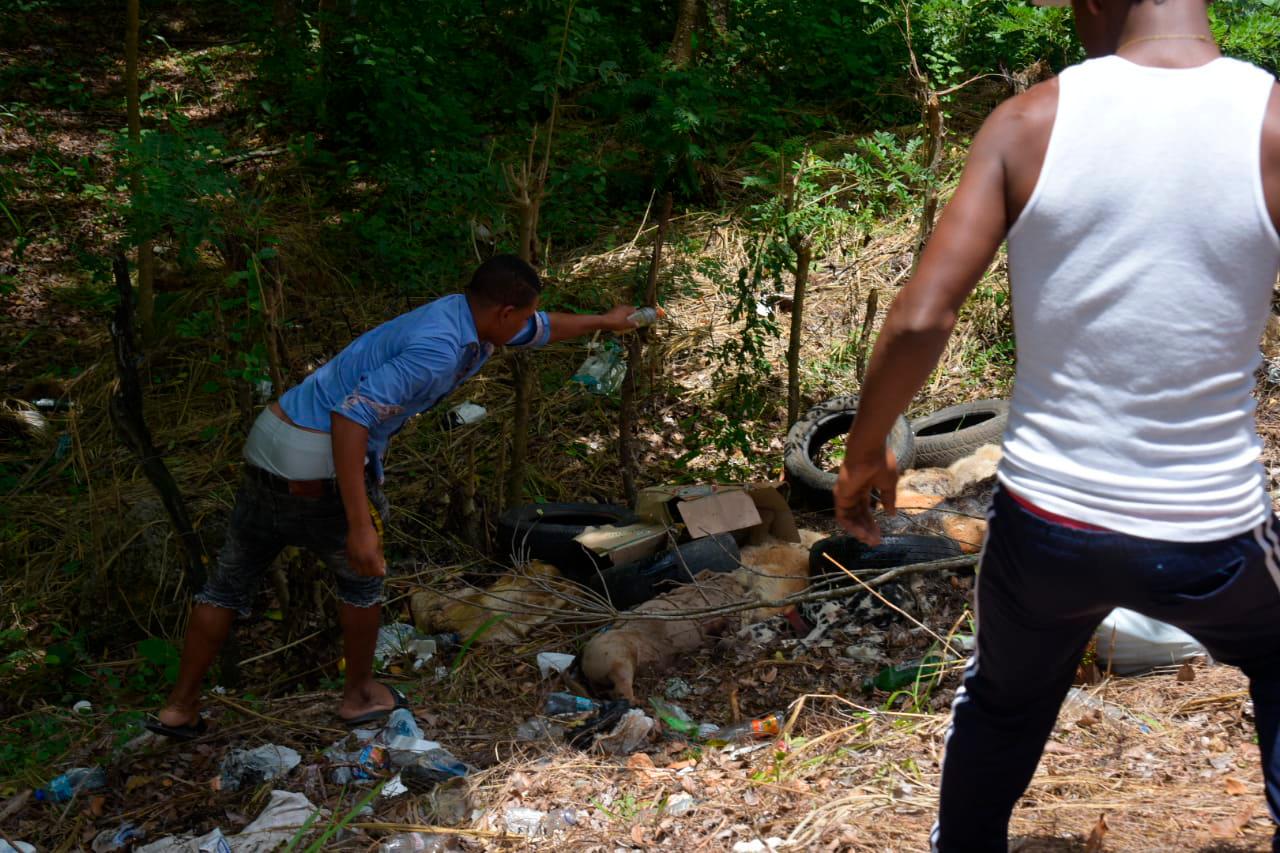 El lugar esta contaminado por el mal olor y las moscas 