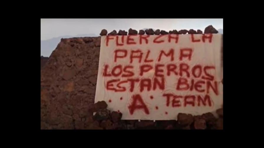Los perros sitiados por el volcán de La Palma, salvados por el “A-Team”