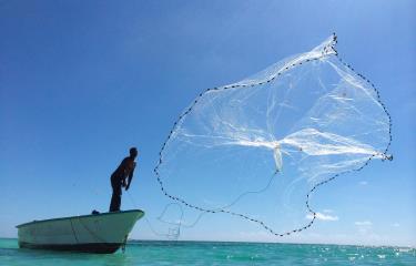 La pesca sostenible no se logra con vedas solamente - Diario Libre