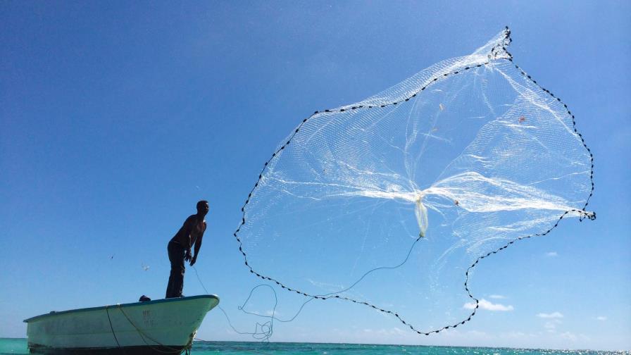 La pesca sostenible no se logra con vedas solamente