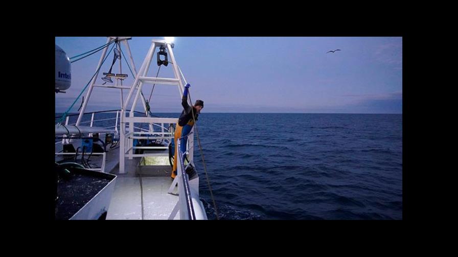 La pesca, el “talón de Aquiles” de la Unión Europea en la negociación con el Reino Unido La pesca, el “talón de Aquiles” de la Unión Europea en la negociación con el Reino Unido