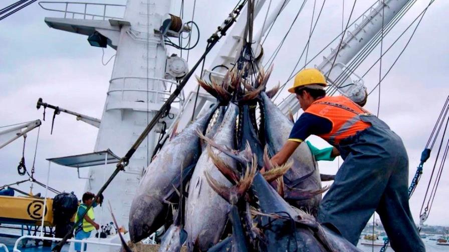 La OMC se reunirá para debatir regulaciones de los subsidios al sector pesquero