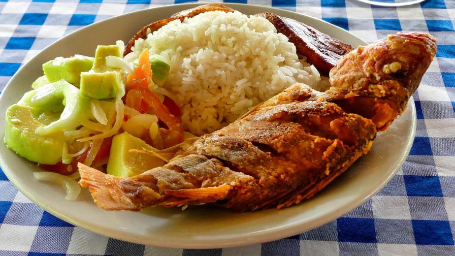 Sector coco tiene gran potencial en la República Dominicana