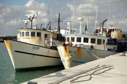 Bahamas apresa a otros pescadores dominicanos