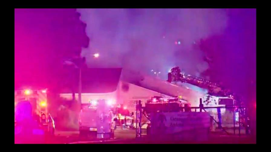 Más de 20 gatos mueren por incendio en refugio de Florida