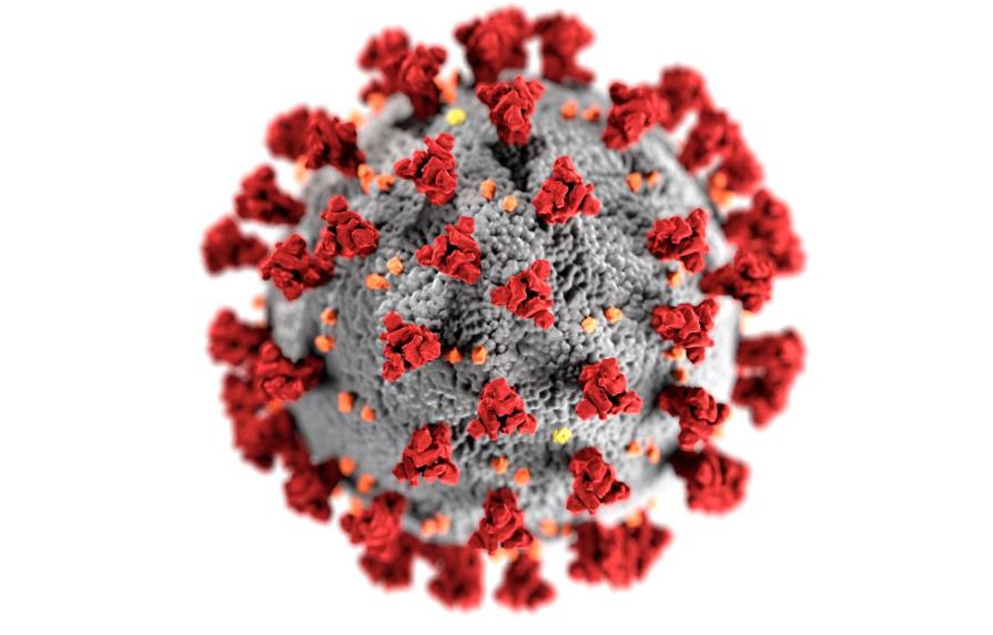 La OMS estudia nueva variante del coronavirus con múltiples mutaciones