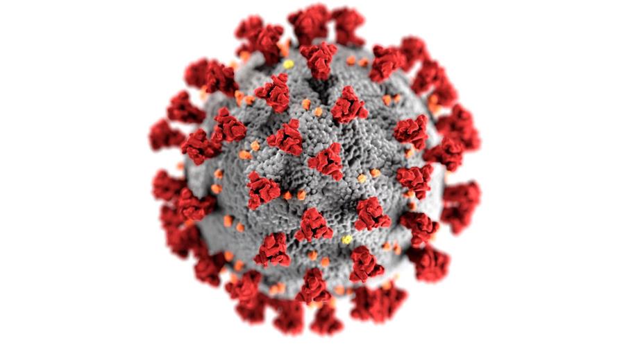 La OMS estudia nueva variante del coronavirus con múltiples mutaciones