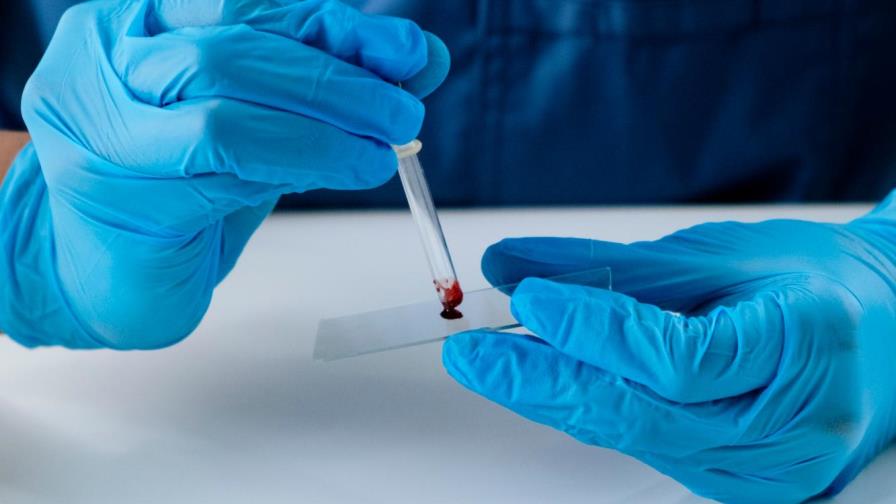 Interpol lanza un nuevo registro de ADN para identificar a desaparecidos Interpol lanza un nuevo registro de ADN para identificar a desaparecidos