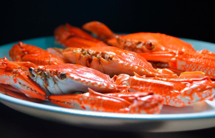 Chefs europeos promueven el consumo sostenible de productos del mar