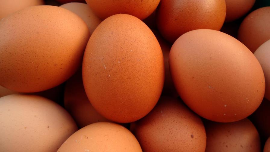Una multa de huevos, por subir los precios durante la pandemia en Nueva York