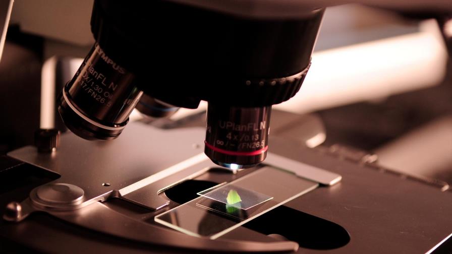 La Unesco establece el primer marco internacional sobre ciencia abierta