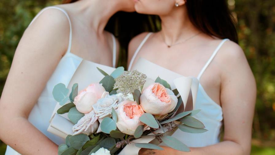 Matrimonio gay en Chile volverá a votarse en Congreso por discrepancias
