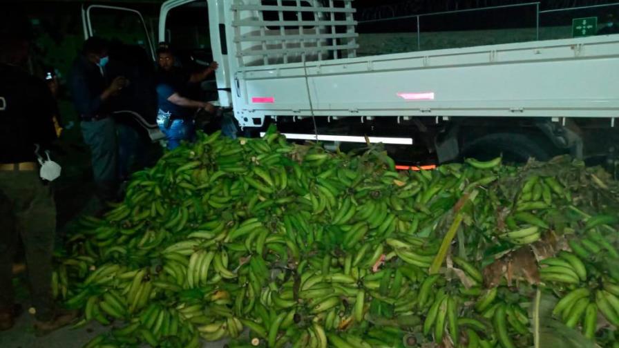 Autoridades ocupan 37 paquetes de droga escondidos dentro de carga de plátano 