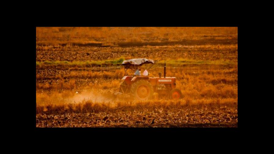 Producto interno bruto, en minúscula