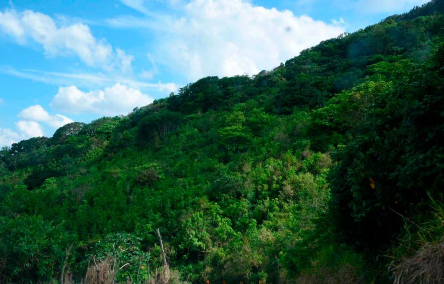 Medio Ambiente revisa permisos otorgó pasado gobierno en pico Diego de Ocampo