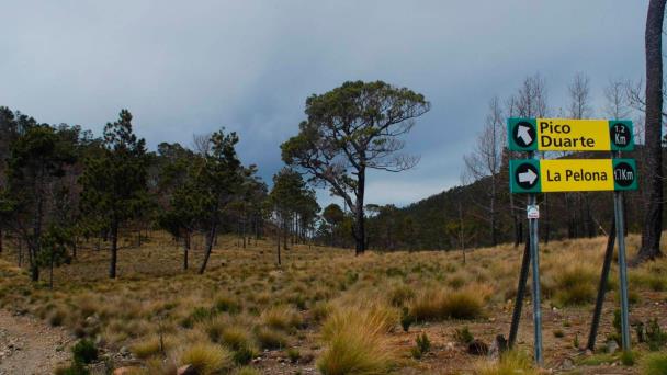 Medio Ambiente cierra áreas protegidas y prohíbe hacer excursiones y usar parques