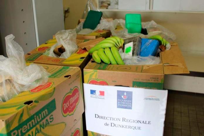 Requisados en Francia 416 kilos de cocaína en cajas de plátanos de Colombia