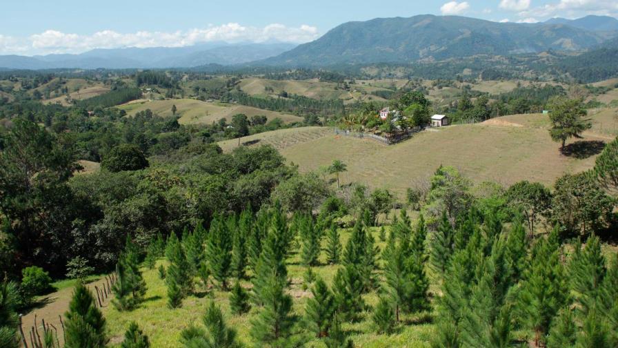 Plan Sierra suma 18 nuevos aliados y juramenta su nueva junta directiva Plan Sierra suma 18 nuevos aliados y juramenta su nueva junta directiva