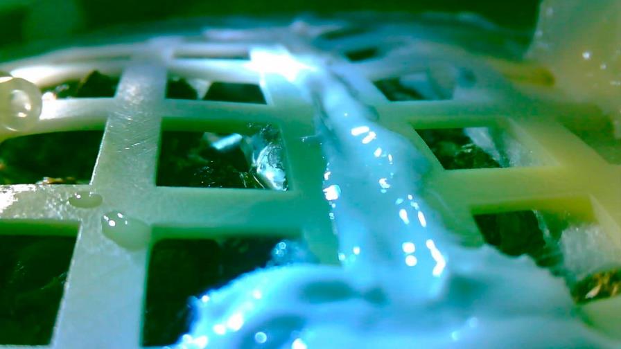 China consigue que semilla de una planta brote en la Luna 