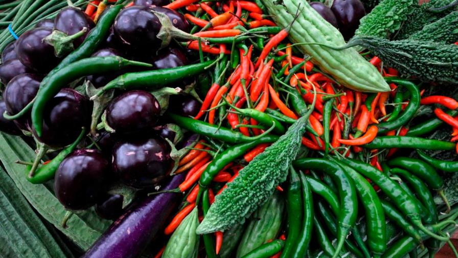 Basado en plantas, a propósito de un documental (2/2) Basado en plantas, a propósito de un documental (2/2)