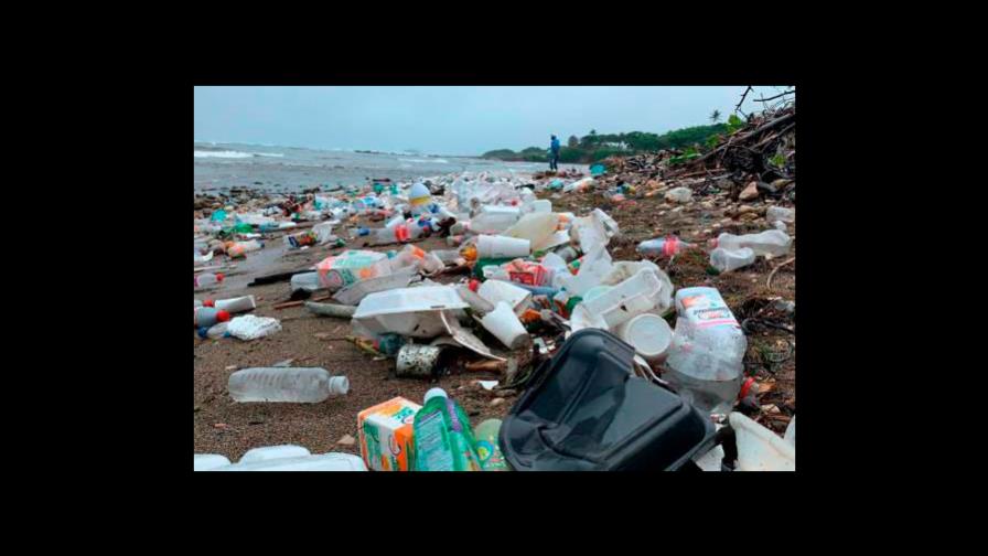 Buscan prevenir que residuos plásticos lleguen a playas de Puerto Plata Buscan prevenir que residuos plásticos lleguen a playas de Puerto Plata