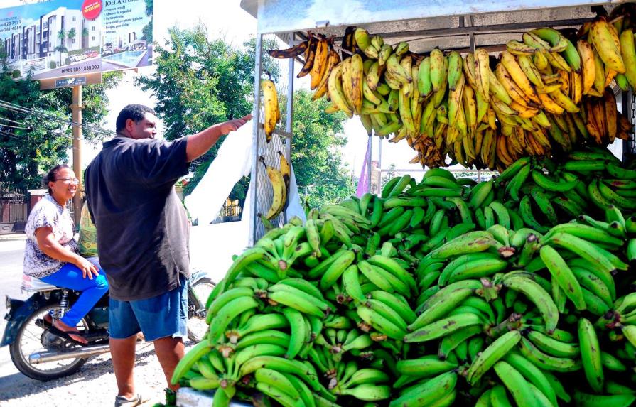 Inespre inicia ventas de plátanos barahoneros a RD$7.00 la unidad